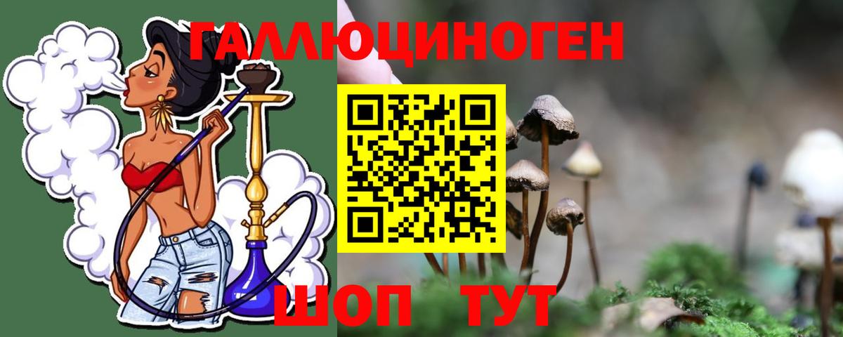 Галлюциногенные грибы GOLDEN TEACHER Благодарный