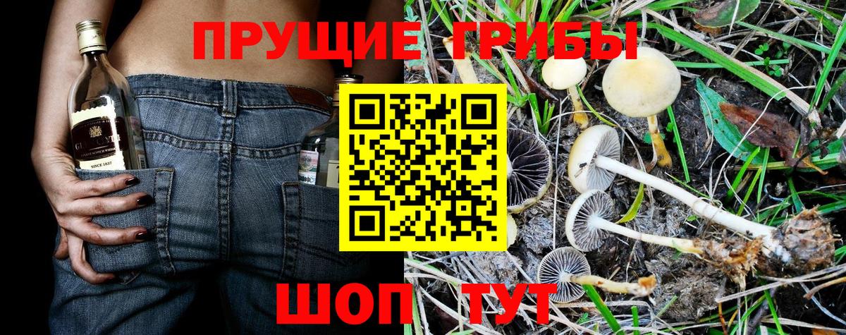 Галлюциногенные грибы Magic Shrooms  продажа наркотиков  Благодарный  Вход с VPN 